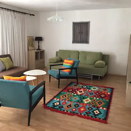 Vidic Apartment *