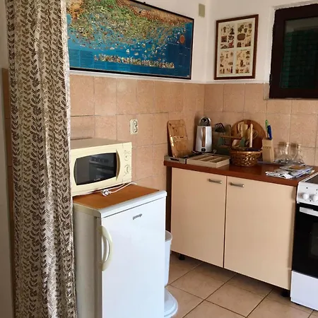 Apartment Vidic *