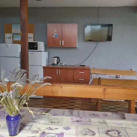 Vidic Apartment