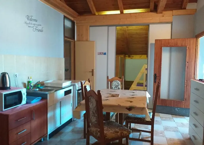 Apartment Vidic *